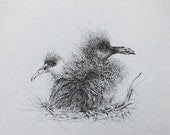 Young Birds on Nest (Print) - LevendGlas Young Birds on Nest (Print) - LevendGlas