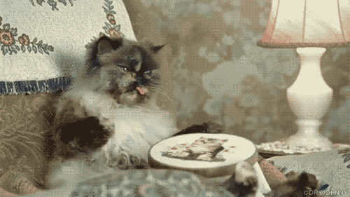 http://24.media.tumblr.com/tumblr_ls03mo8LSS1qcffkqo1_500.gif