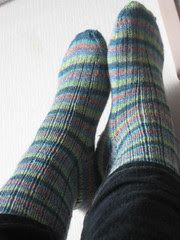 Lichen Ribbed socks