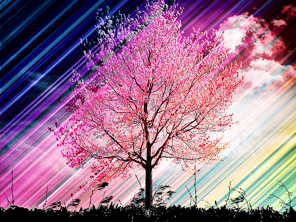 すべての花の画像 50 素晴らしい春 壁紙 Pc