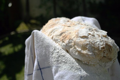 Folded dough