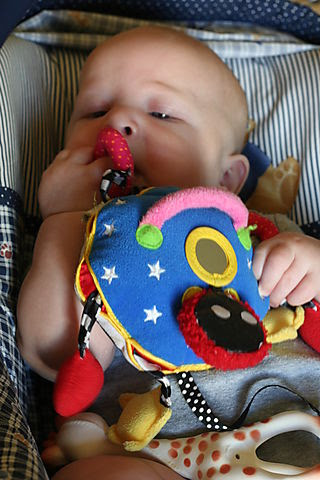 Whosit toy