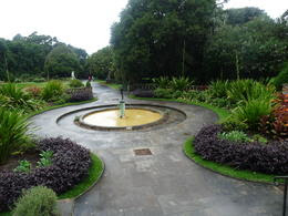 Photo of Sydney Sydney and Bondi Hop-on Hop-off Tour Royal Botanical Gardens