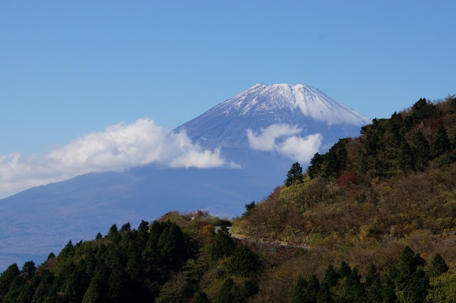 20150217 (12)