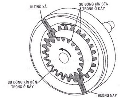 Cấu tạo bên trong của máy bơm bánh răng ăn khớp trong