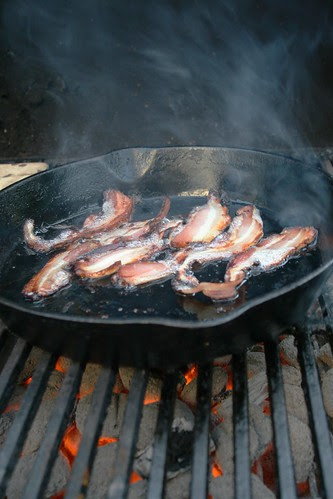 Bacon