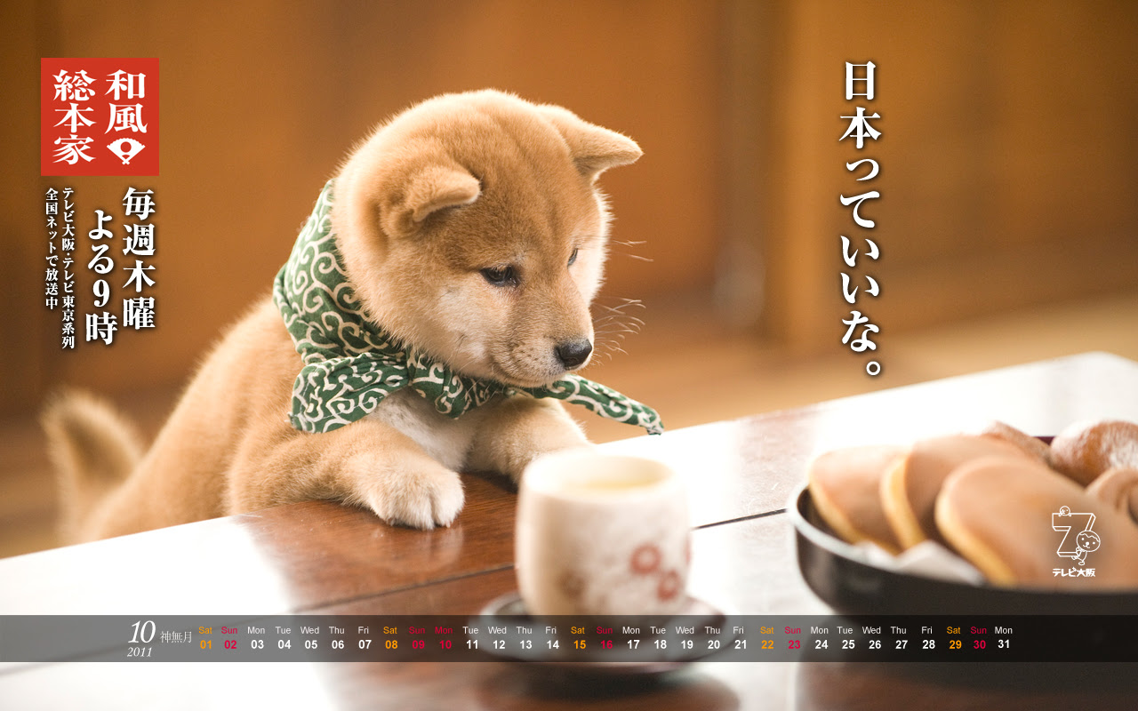 100 豆助 壁紙 Maddekorによる無料のhd壁紙