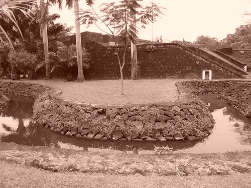 P1130858