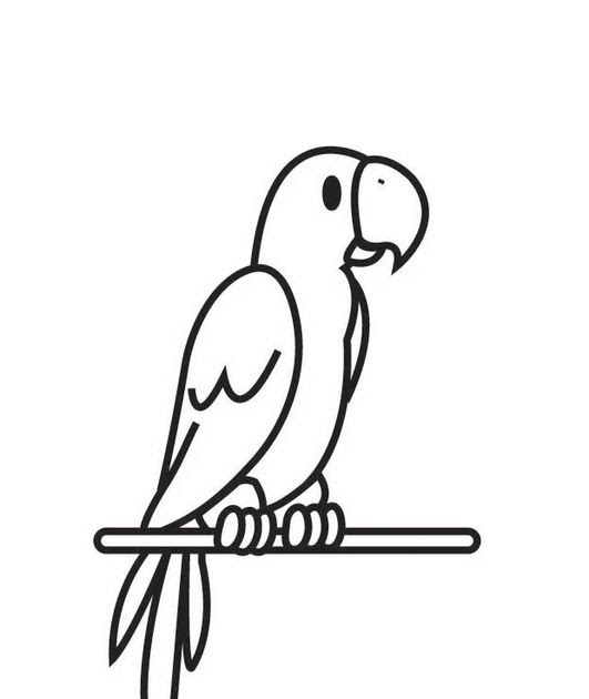 Food coloring good for birds