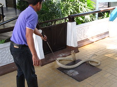 IMG_2808