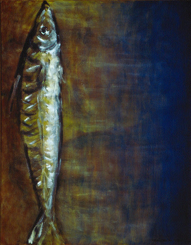 Mackerel / 鯖魚 / Makrele