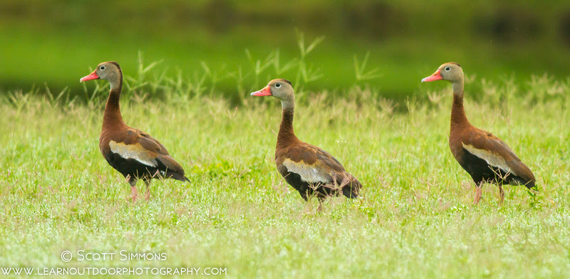 Photo & Video Sharing by SmugMug Photo & Video Sharing by SmugMug