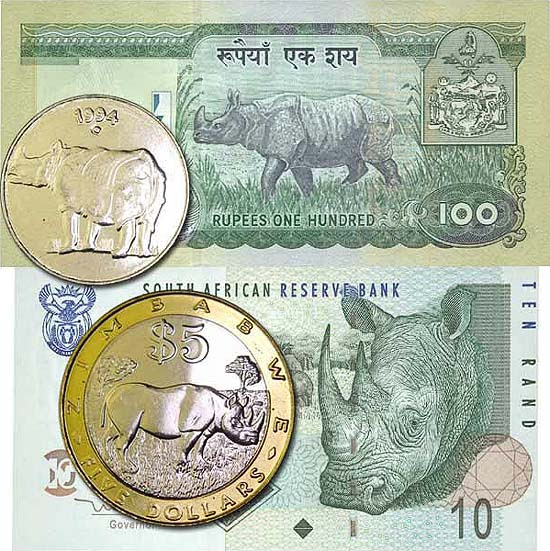 Rhinoceros on coins and banknotes