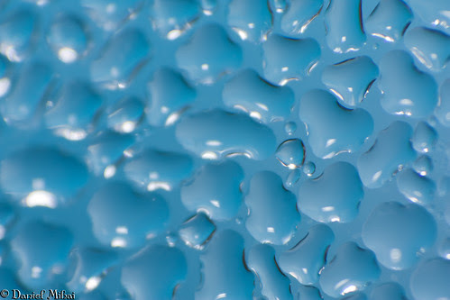 Water bubbles (macro)