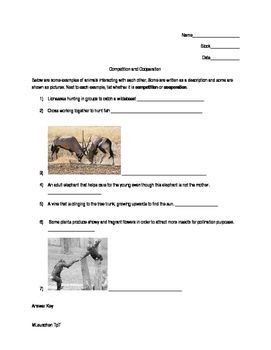 Animal Behavior Worksheet Answers - QANIML