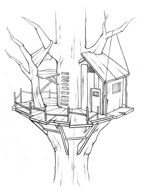 A Tree House Drawing
