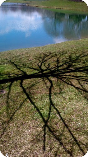 Shadows & Reflection