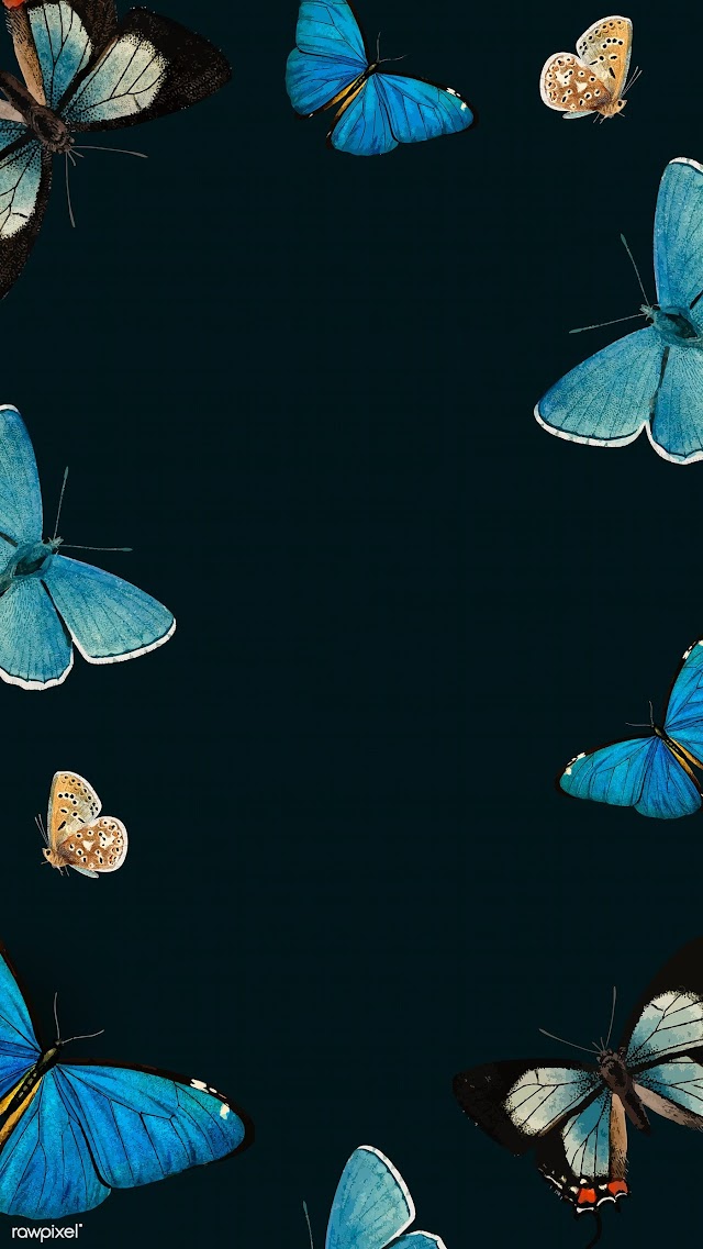 Featured image of post Black Blue Butterfly Wallpaper Iphone / If you download backgrounds at our site, you agree to.