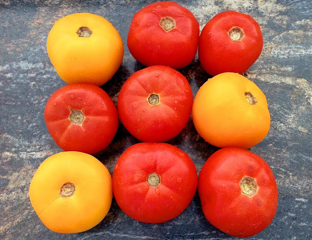 9 Large Ripe Tomatoes
