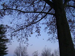DSC06737