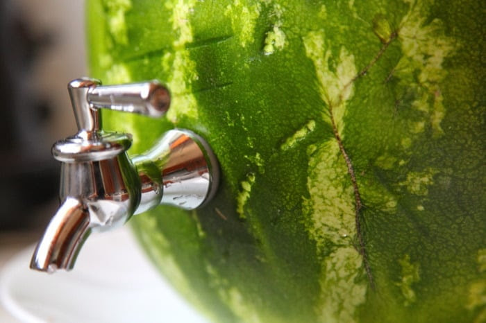 Dispensador de Agua con Sandía