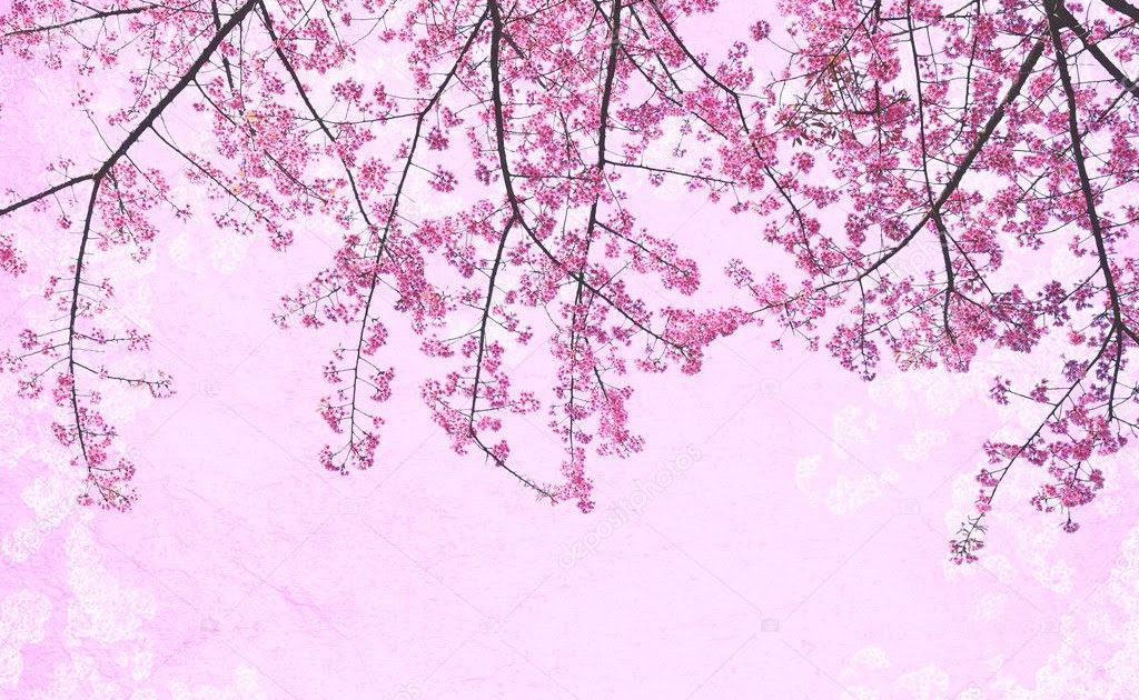 29+ Gambar Bunga Sakura Terbagus, Yang Banyak Di Cari!