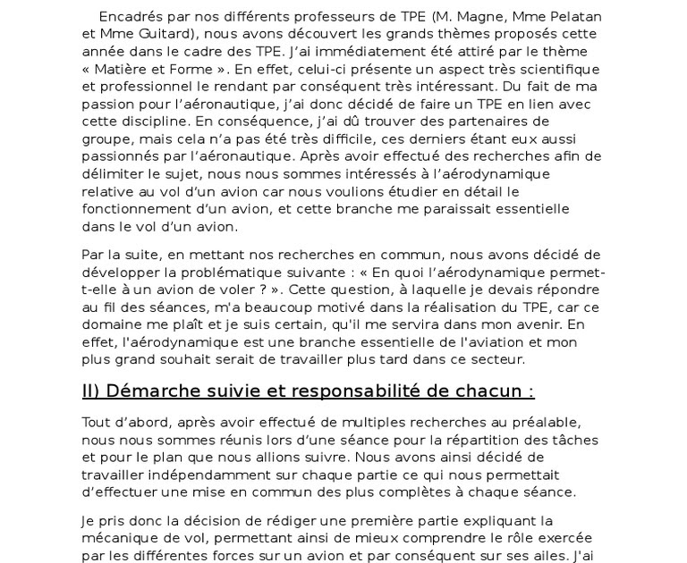 Exemple De Synthese Professionnel Cv  intanhoax