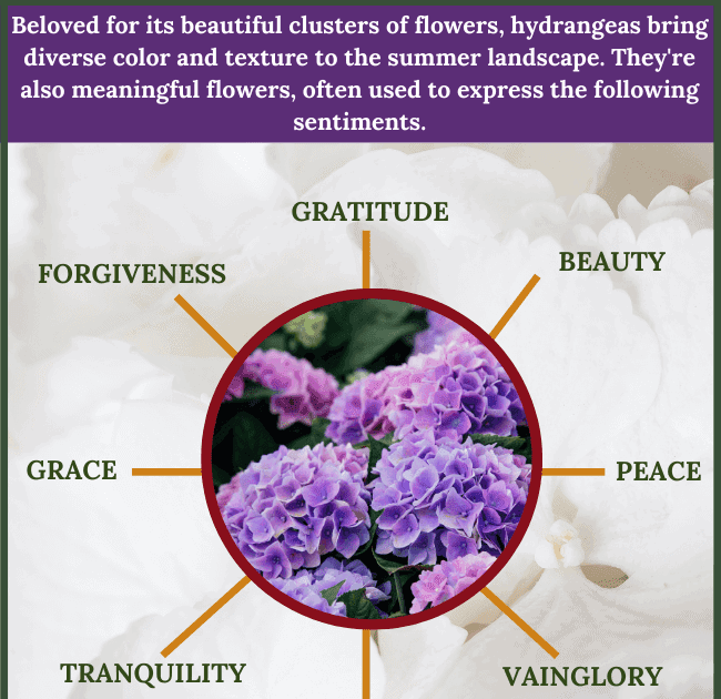 Biblical Meaning Of Flowers In Dream