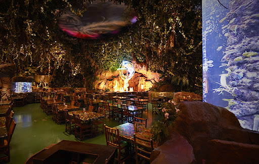 レインフォレスト カフェ・トーキョー | レインフォレスト カフェ・トーキョー（RainforestCafe・Tokyo）の公式ホームページです。