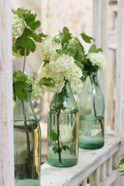 Limelight Hydrangeas in bottles