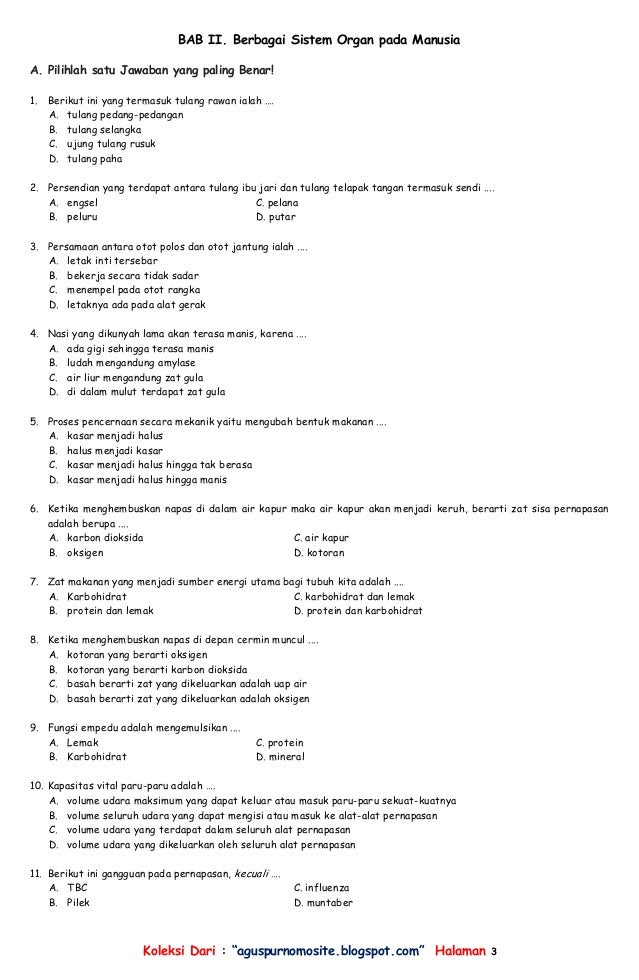 Soal Dan Jawaban Sistem Pernapasan Pada Manusia Kelas 8 Dapatkan Data