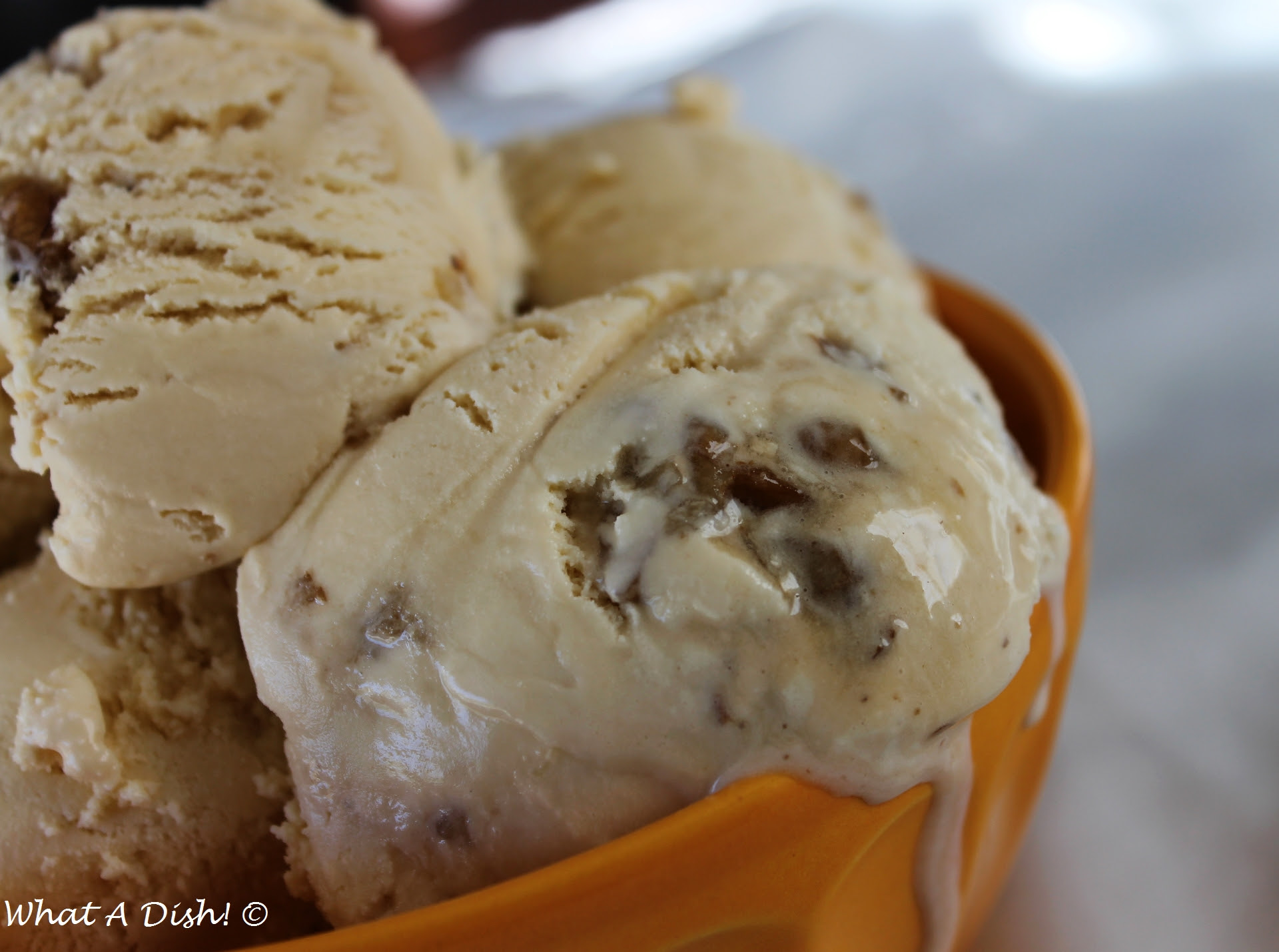 What A Dish!: Maple Walnut Ice Cream