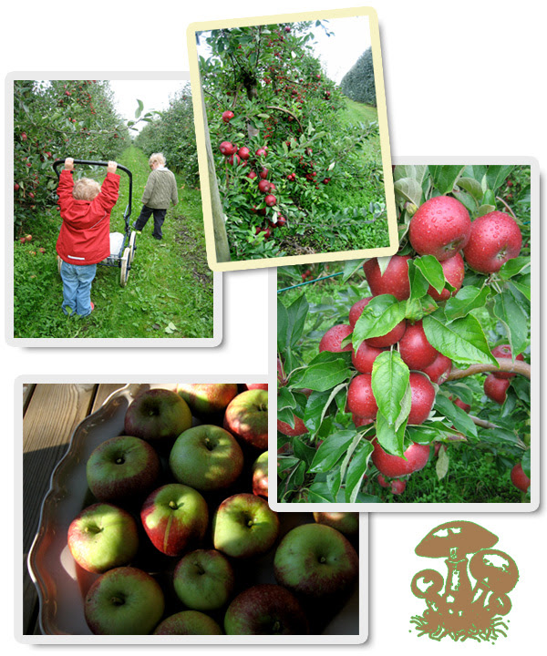070916__applen