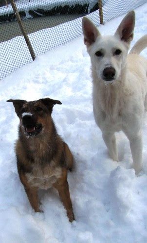 Dec. 6-first snow day