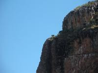 Free Image Hosting at www.ImageShack.us