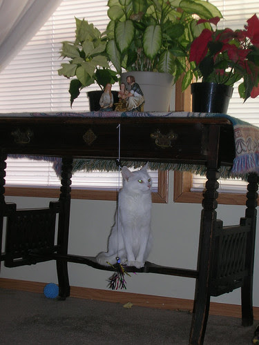 on her perch