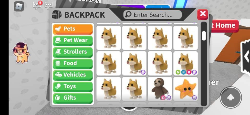 Adopt Me Pet Inventory - Anna Blog