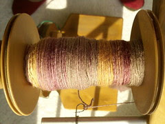 Southern Cross Fiber cashmere/merino in Hay Sunrise