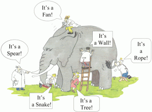 blindmen elephant large 300x220 Doing multidisciplinary research