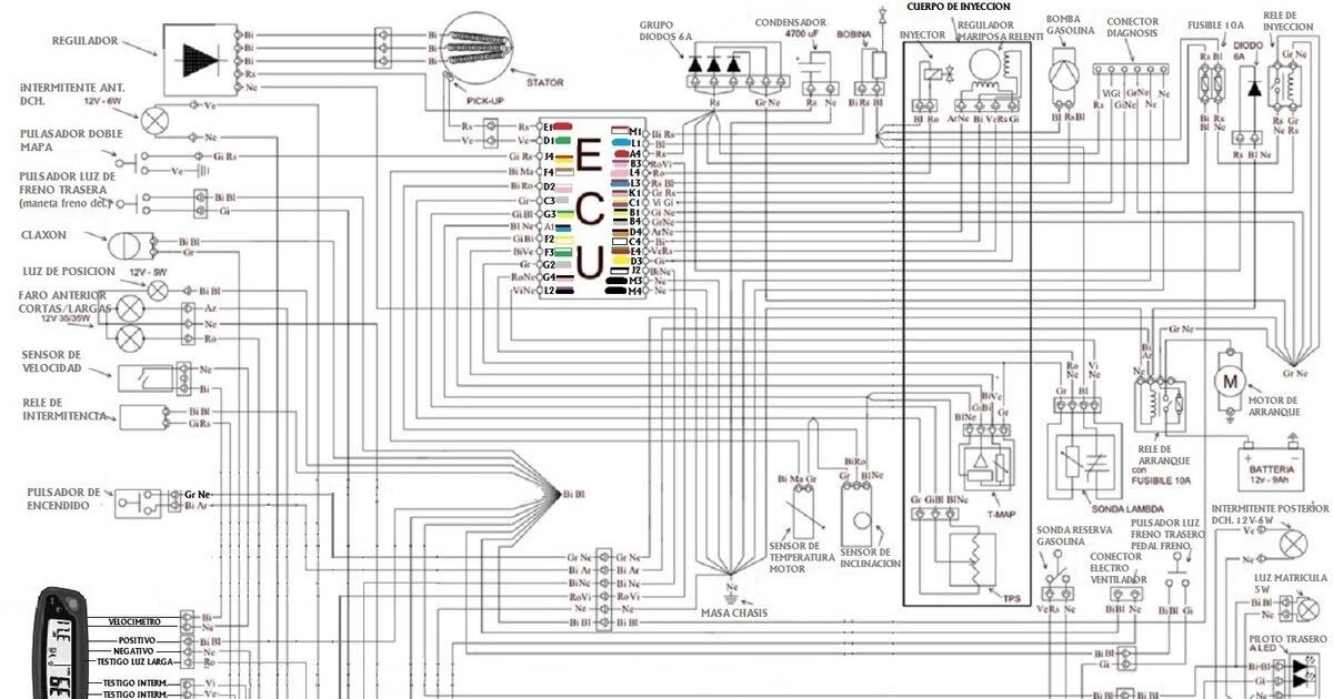 Vy Commodore Ls1 Wiring Diagram - Wiring Diagram