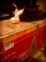 Big big helper