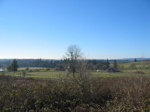 View from the west flank of Pete's Mountain