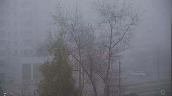 Штормовое предупреждение объявлено в Беларуси из-за тумана