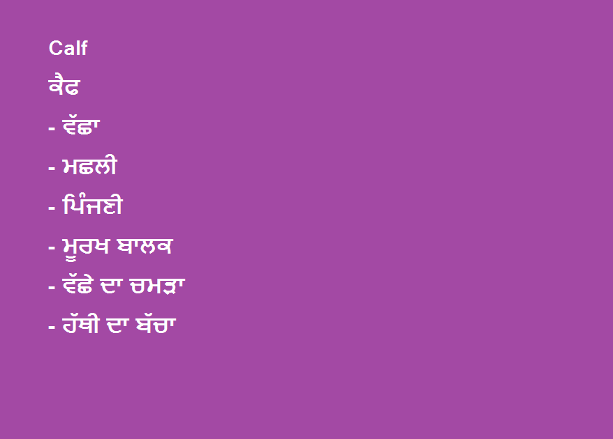 meaning of mean in punjabi