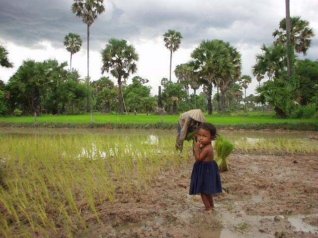 A nice scenery from my Cambodia visit (© 2009 by Johannes Beck)