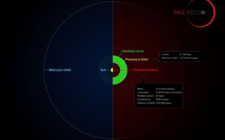 An infographic compares the orbit of the planet around Proxima Centauri (Proxima b) with the same region of the Solar System 