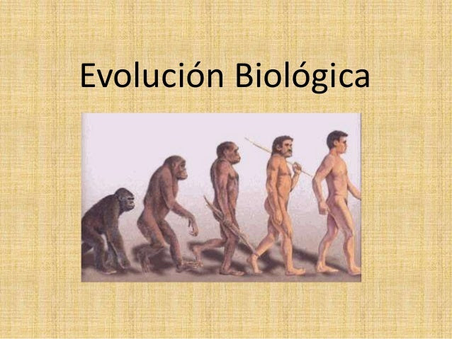 La Evolución Biologica Teorías Científicas Acerca De La Evolución