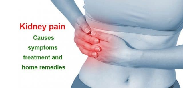 Kidney Abdominal Pain Symptoms Kidney Failure Disease