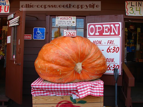 Franklin Cider Mill