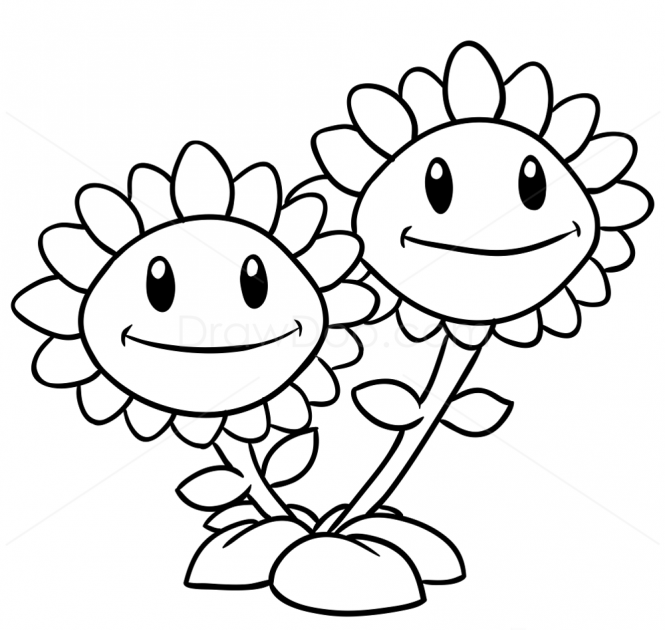 Draws Plants Coloring Pages - News Spirit
